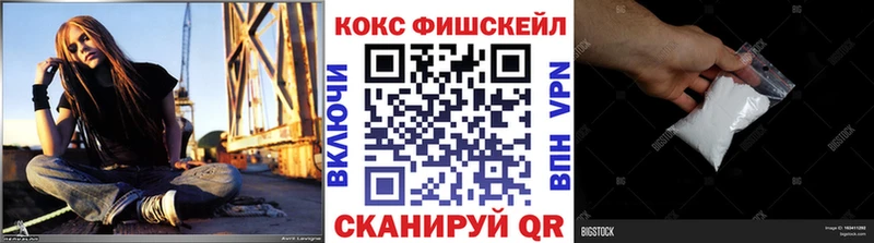Купить  Вяземский  Кокаин Fish Scale 