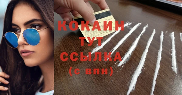 сатива Богородск