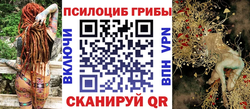 Купить где  Вяземский  Псилоцибиновые грибы мицелий 